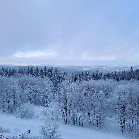 Ferienwohnung Skadi, Hahnenklee 戈斯拉尔 外观 照片
