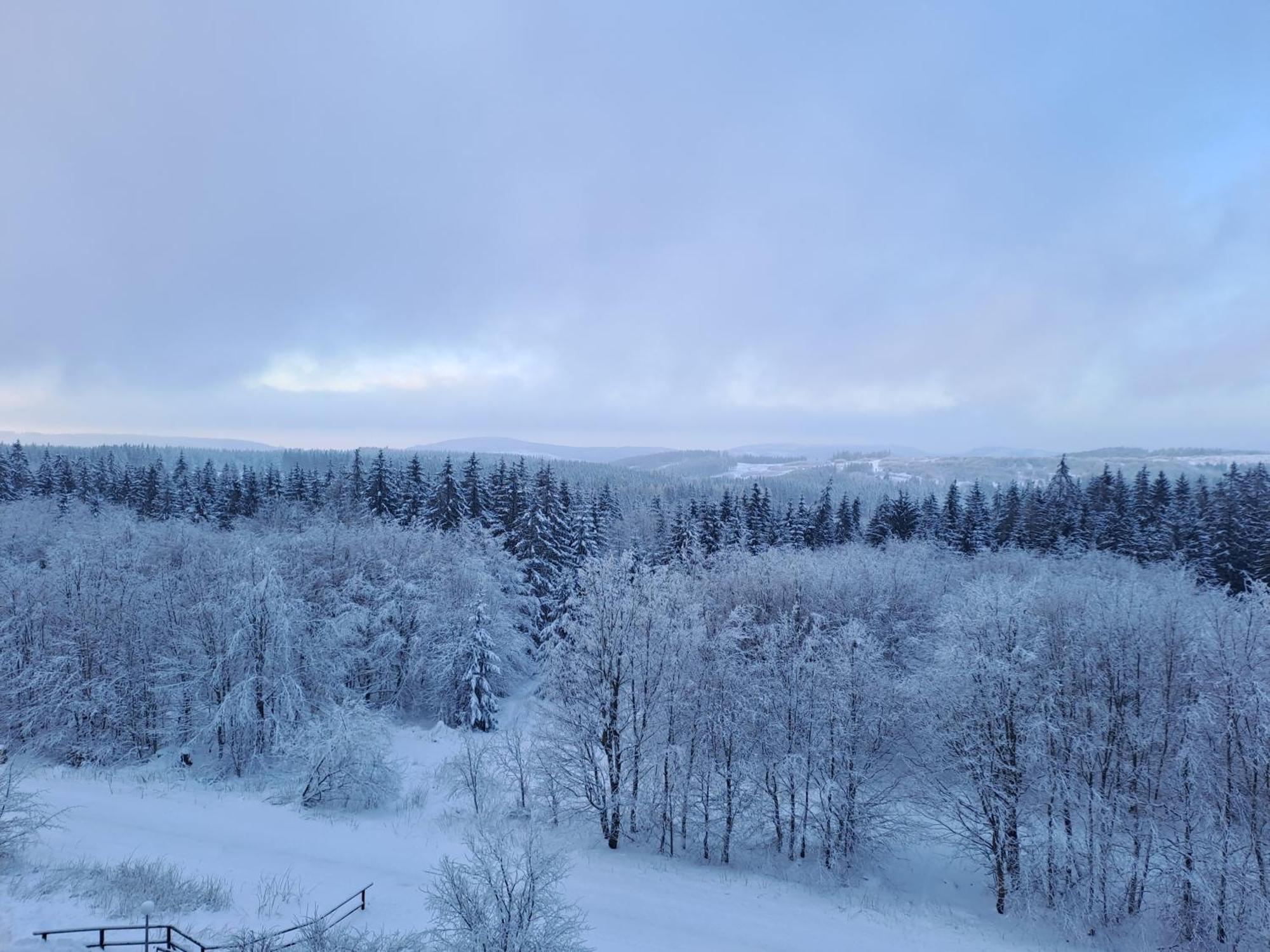 Ferienwohnung Skadi, Hahnenklee 戈斯拉尔 外观 照片