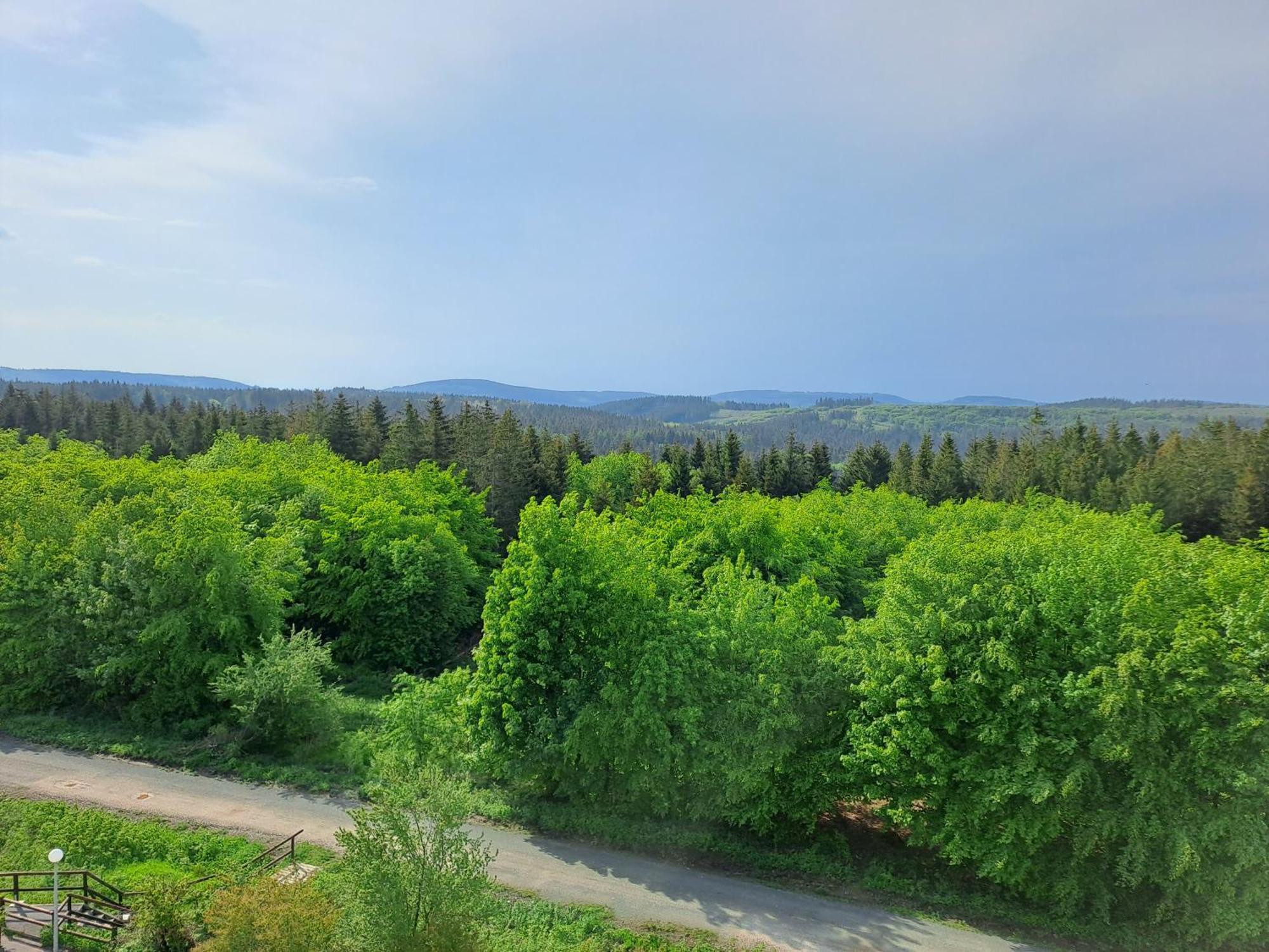 Ferienwohnung Skadi, Hahnenklee 戈斯拉尔 外观 照片